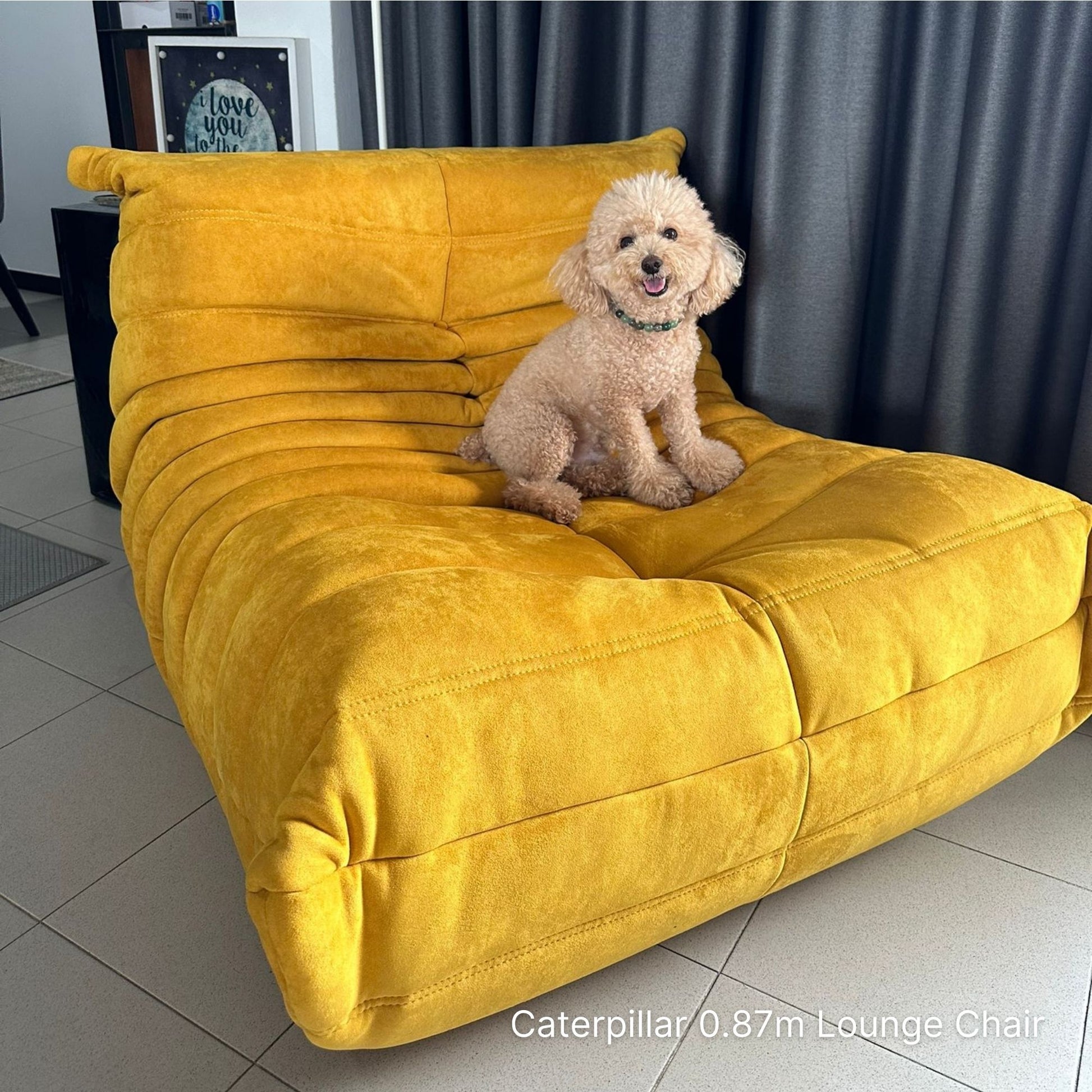 Dog sitting on a yellow lounge chair with a gray curtain in the background
