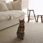 Celine wool rug beige