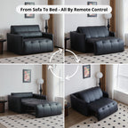 Coach Electric Faux Leather Sofa Bed