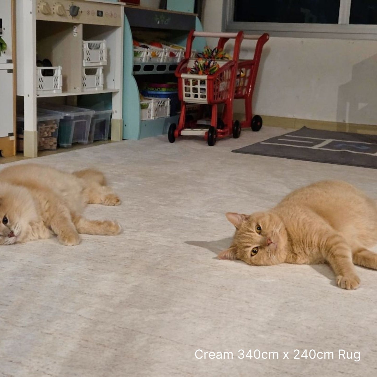 Two cats lying on a cream rug with a toy cart in the background