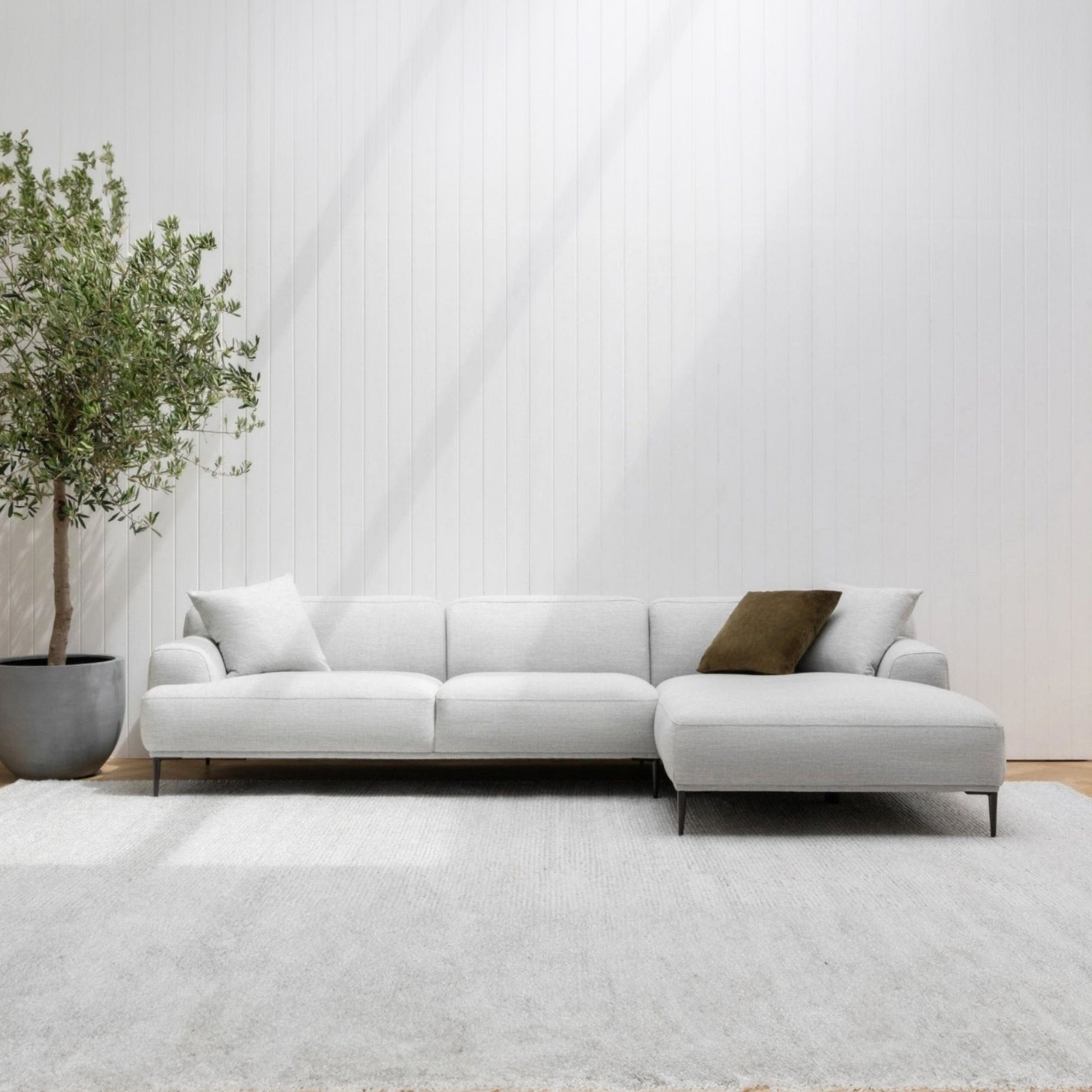 Modern white sectional sofa in a minimalistic living room with a plant and rug.