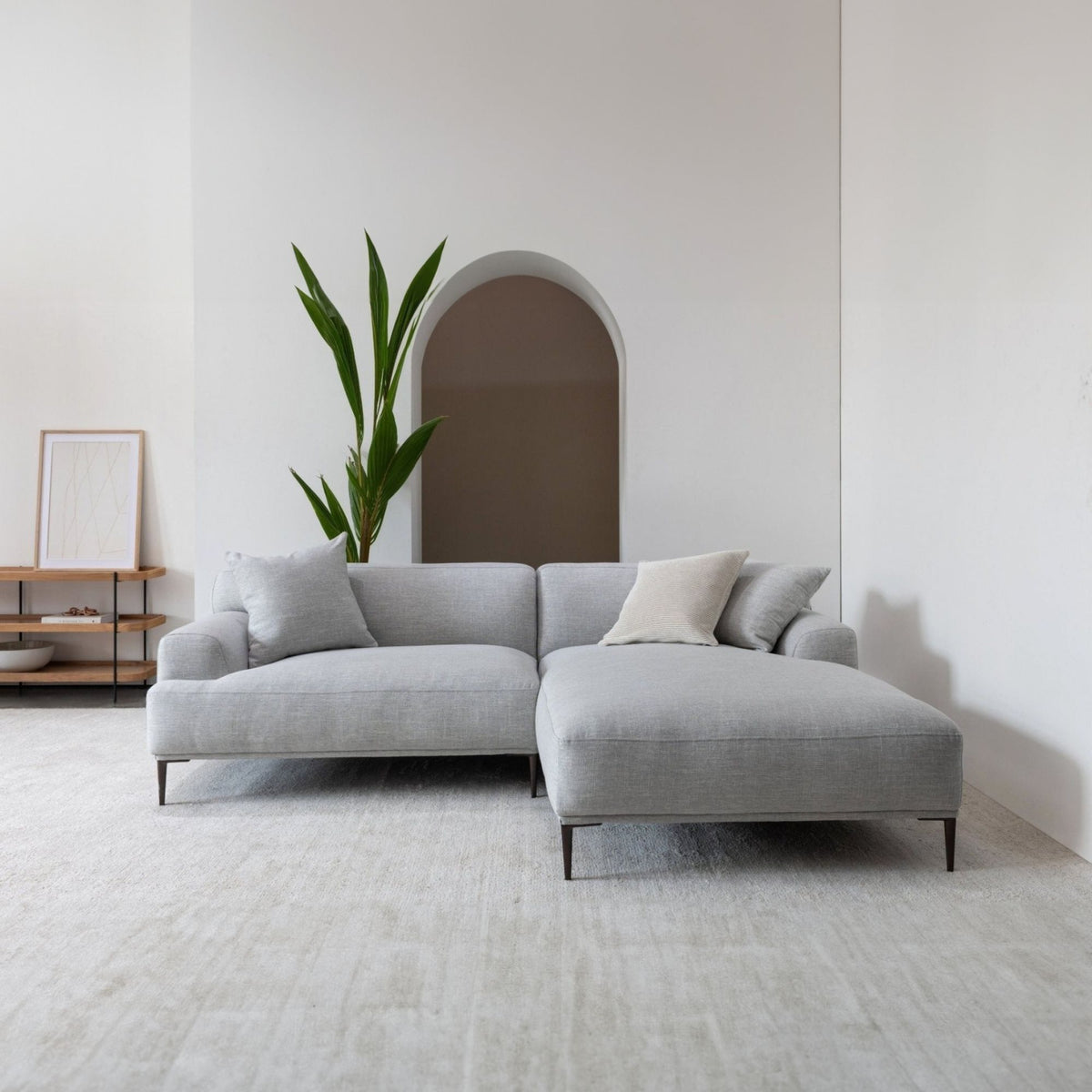 Gray sectional sofa in a modern living room with a plant and minimal decor.