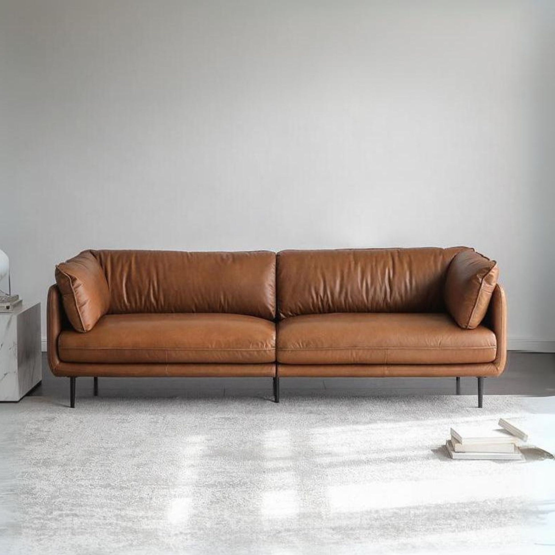 Cuddle brown leather sofa front view photo shoot