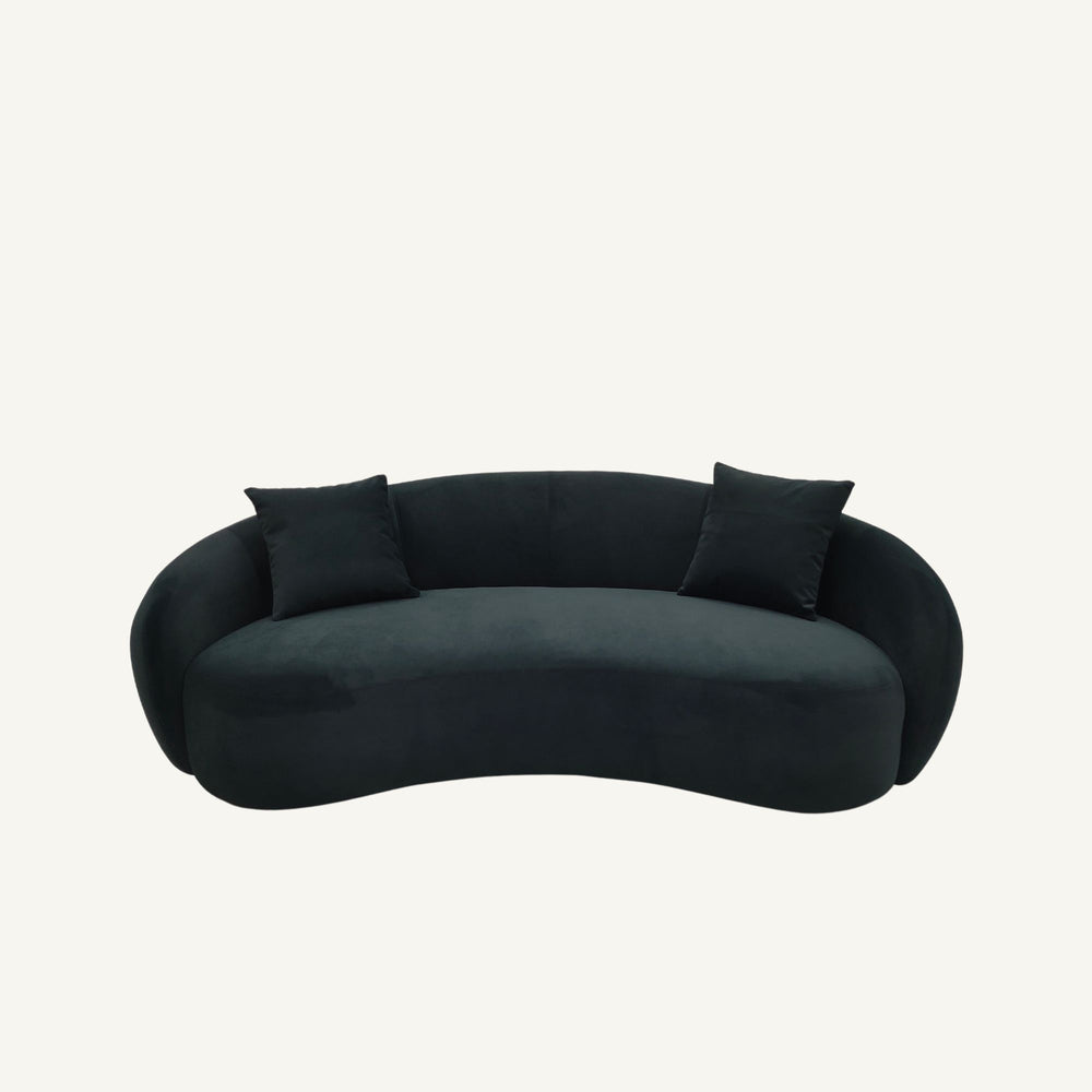 
    Colour — 
    Cashew Sofa in Black
