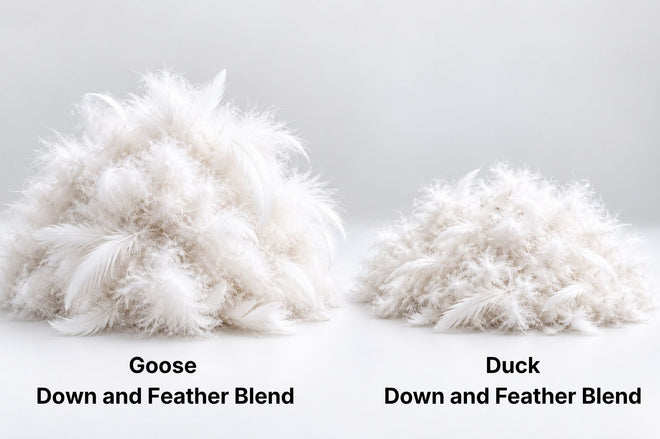Side by side comparison of goose vs duck down and feather blends