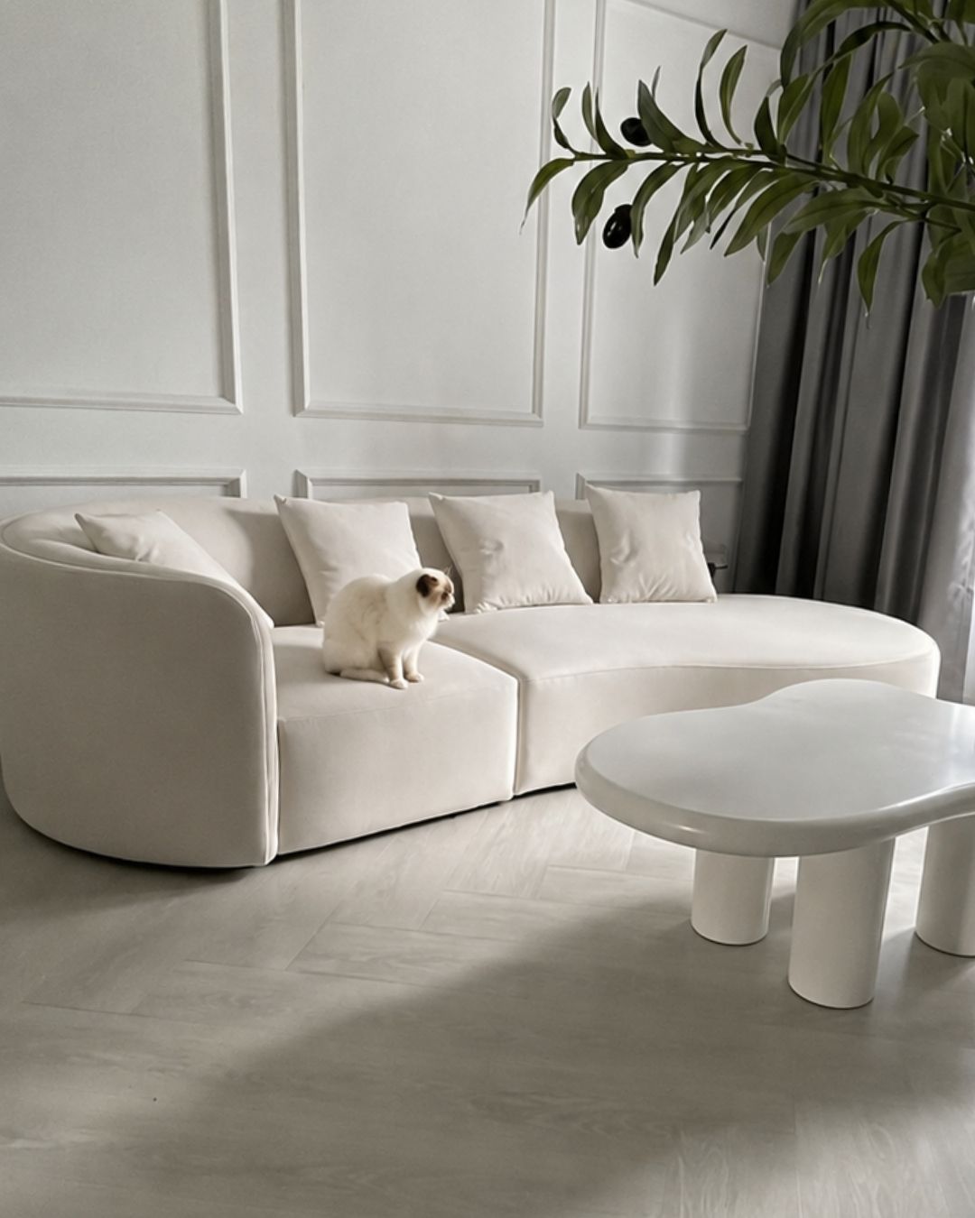 A cream-colored curved modular sofa in a modern living room setting, featuring a small white cat sitting on the left cushion. A matching white coffee table is in the foreground, with a white paneled wall and gray curtains in the background.