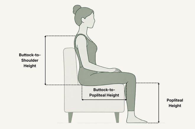Key measurements of the human body and where they relate to on the sofa