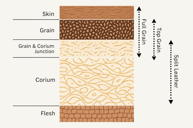 Different layers of cow hide and the layers that are used to build full grain, top grain and split leather