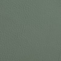 Leather swatch for Lucas 837, green colour