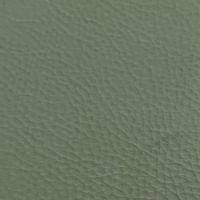 Leather swatch for Lucas 853, green colour