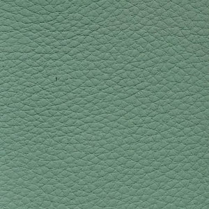 Leather swatch for Lucas 853, green colour