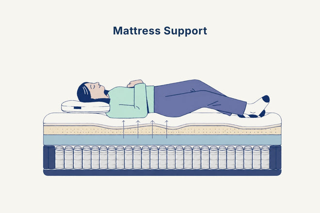 Mattress support helping maintain body and spinal alignment
