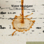 Water-resistant rug in a room with text and a close-up of a hand using it.