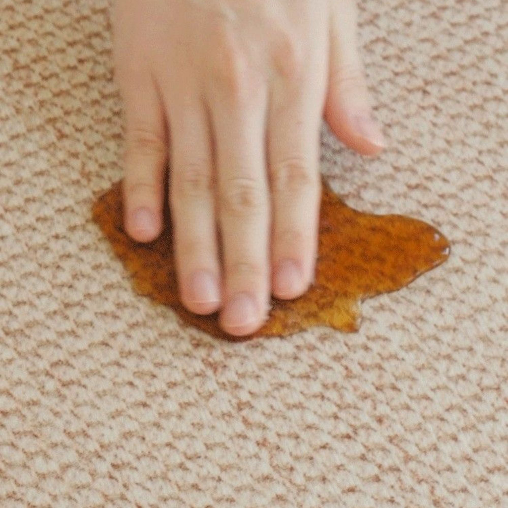 Olivia Water Resistant Rug | Cozylant | Singapore