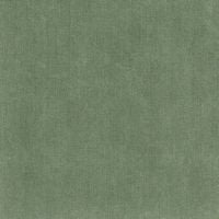 Fabric swatch for Furla 67, green colour