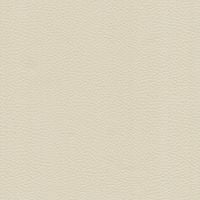 Vegan leather swatch for Benly 40, beige colour