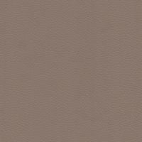 Vegan leather swatch for Benly 46, beige colour