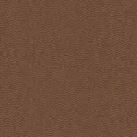 Vegan leather swatch for Benly 55, brown colour
