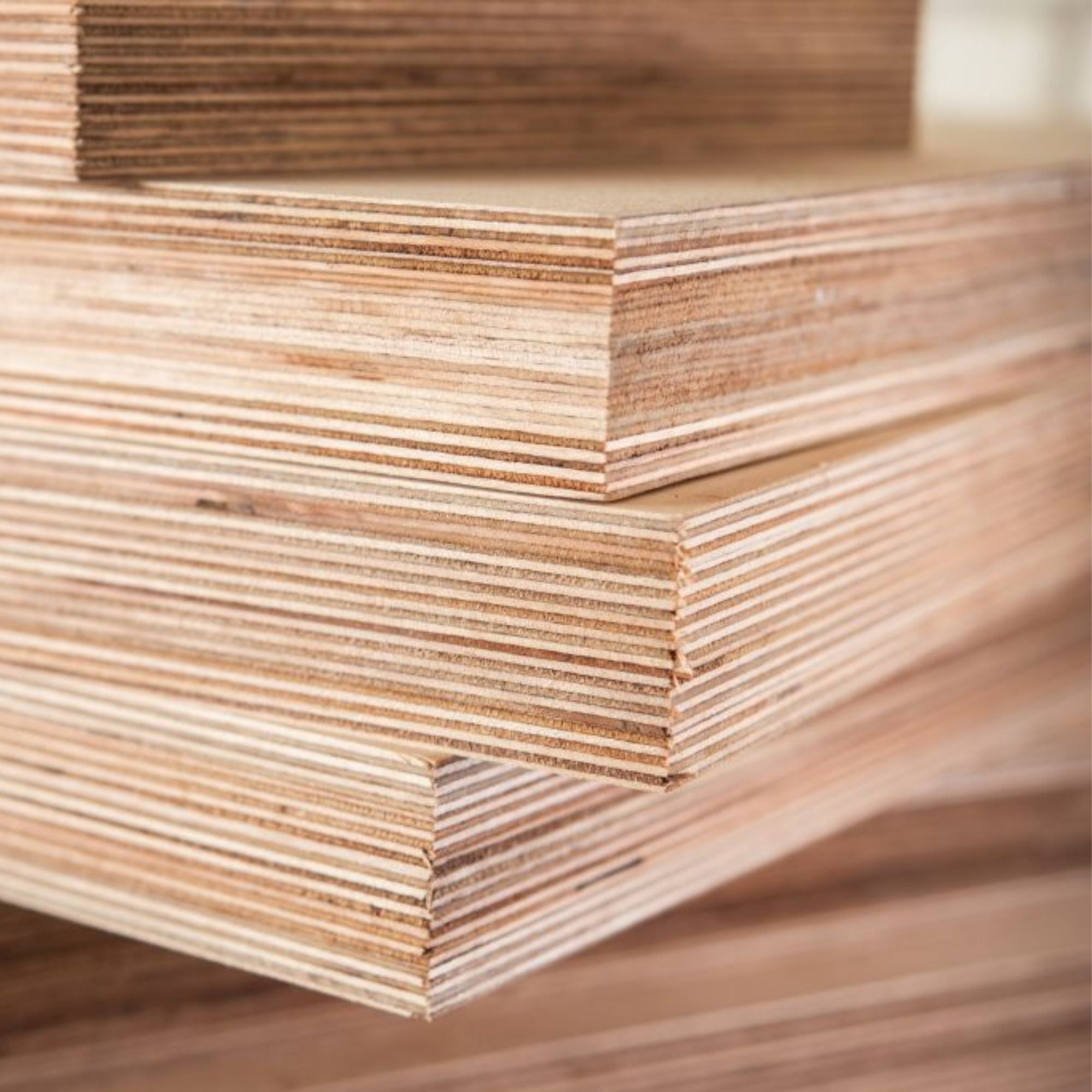 Plywood closeup photo