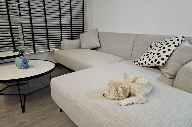 sample illustration of a small dog resting on the Crystal L-shape sectional sofa