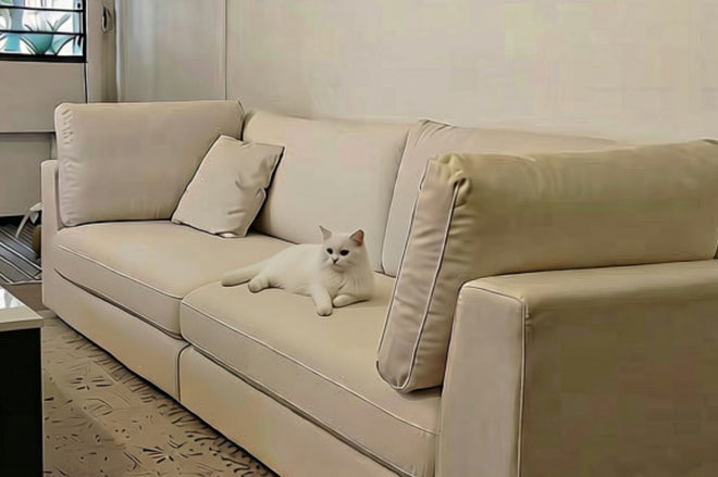 Sample white cat on a white Claudia fabric sofa upholstered in white pet friendly fabric in the living room