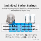An informational product graphic for Cozylant individual pocket springs. The image shows several blue wrapped spring units, two clear glasses used as supports, and text listing dimensions and spring counts for a queen and king mattress.