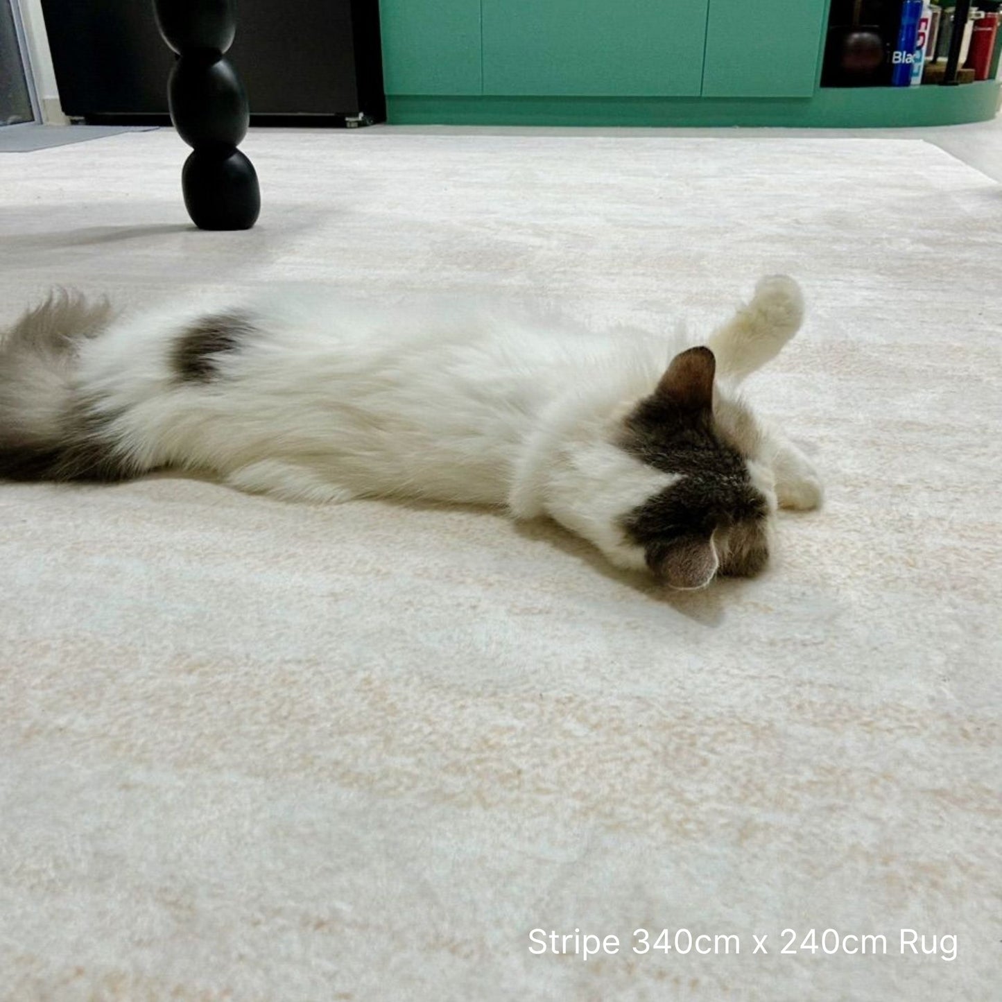 Cat lying on a striped rug with visible text indicating rug dimensions.