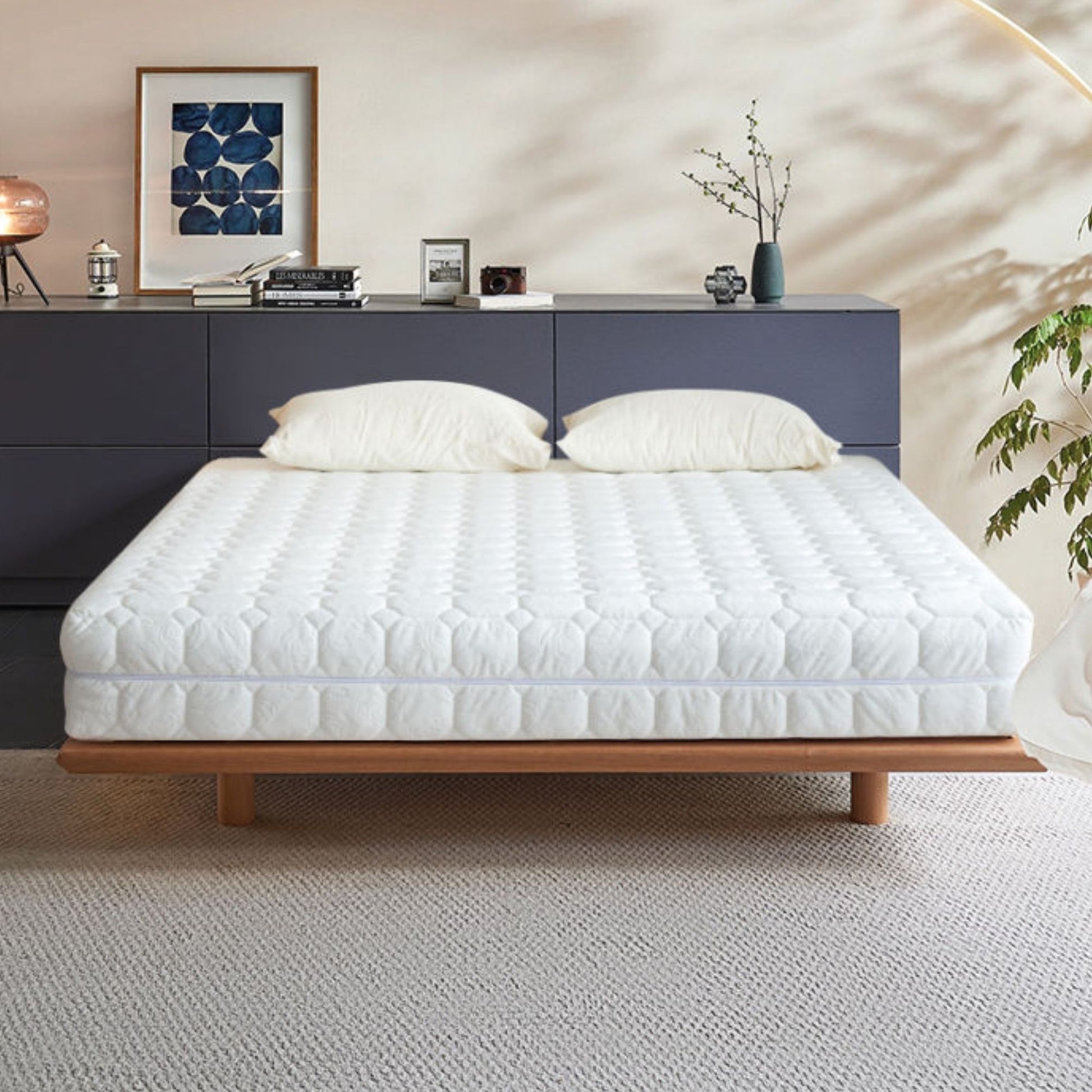 Sunny mattress collection photo