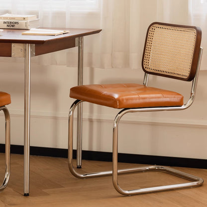 Theo stainless steel brown dining chair