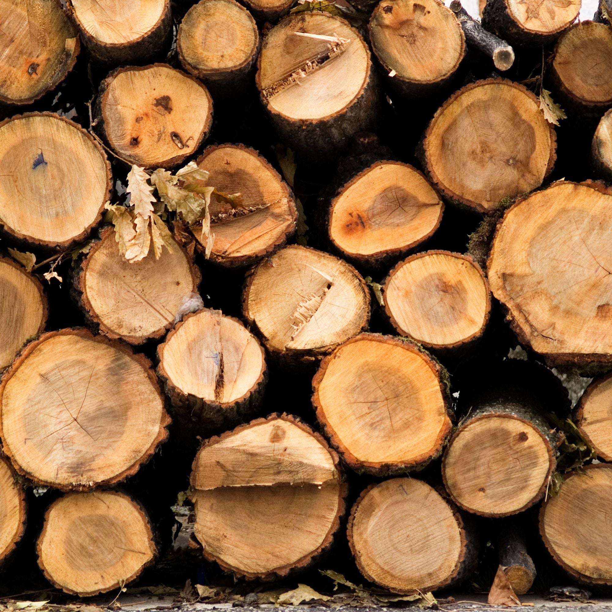 Wood harvesting